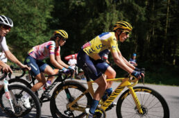 ツールファム第8ステージ