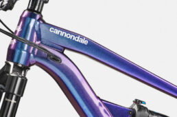 キャノンデール・ハビット