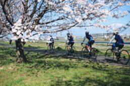 チャンピオンシステム　TEAM DAYS