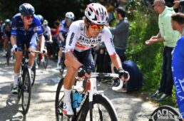 イツリア・バスクカントリー2023　新城幸也