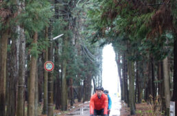 豊里ゆかりの森を抜けていく