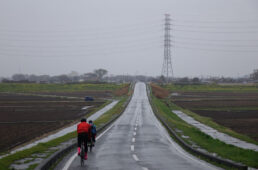 両脇に耕作地が広がる道
