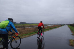 小貝川の堤防上の道