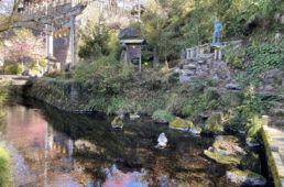 醒井宿の居醒の清水