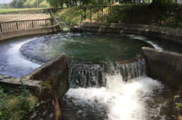 井之口の円形分水