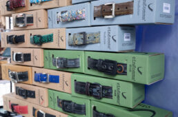 チンゴンマのベルト