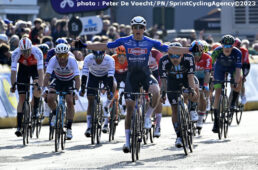 Scheldeprijs