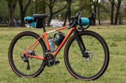 ダボス・D-309 ネオランドナー Ver.2