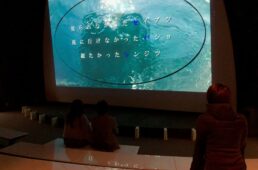 ほたるいかミュージアム