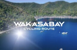 わかさいくる動画