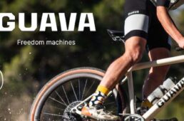 Guavaバイク