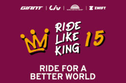 ジャイアント　RIDE LIKE KING 15