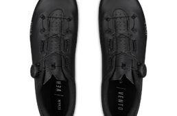 フィジーク　ヴェント・オムナ