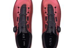 フィジーク　ヴェント・オムナ