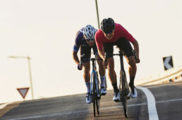 フィジーク　ヴェント・オムナ