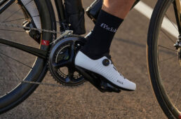 フィジーク　ヴェント・オムナ