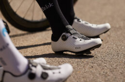 フィジーク　ヴェント・オムナ