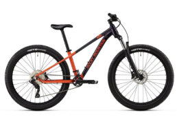 ロッキーマウンテン・グローラージュニア