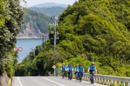 Setouchi Vélo瀬戸内海を見下ろす