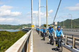 セトウチヴェロ