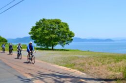 新緑のびわ湖の岸辺をゆっくりと散策ライド