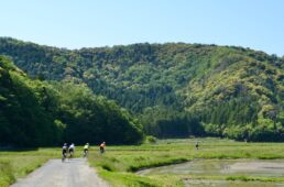 三方五湖に向かう途中の若狭街道