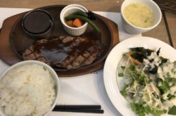 猪野学　ネオ坂バカ奮”登”記　第21回