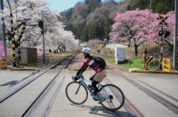 わたらせ渓谷鐵道の沿線の桜並木