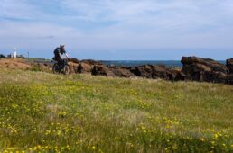 海岸線沿いのサイクリングロードを走る