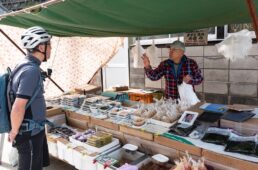 勝浦の朝市の歴史を語る漬物屋さん