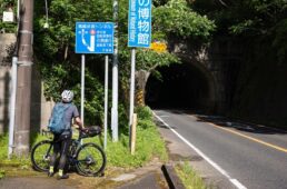 国道128号にある歩道走行の案内看板