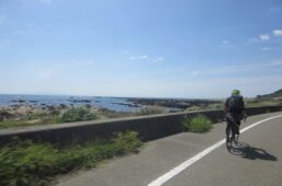 遠くに伊豆大島が見える