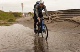 嬉々として水の中を走る