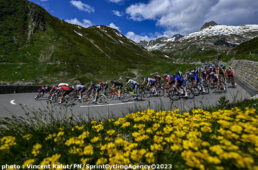 Suisse