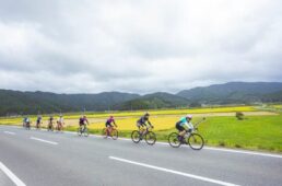 ツール・ド・東北