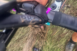 道端の草の部分を歩く