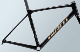 ジャイアント2024パフォーマンスロード