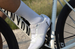 UDOG（ユードッグ）