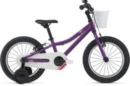 ジャイアント・Liv 2023-2024継続モデル