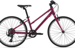 ジャイアント・Liv 2023-2024継続モデル