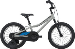 ジャイアント・Liv 2023-2024継続モデル