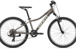 ジャイアント・Liv 2023-2024継続モデル