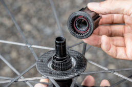 ルン・メガの特徴