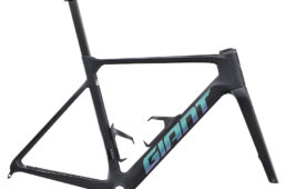 ジャイアント2024パフォーマンスロード