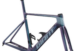 ジャイアント2024パフォーマンスロード