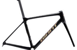 ジャイアント2024パフォーマンスロード