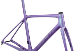 ジャイアント2024パフォーマンスロード