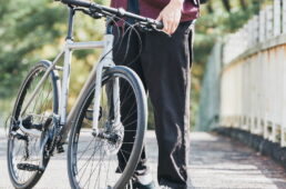 ライトウェイ　シェファードディスク