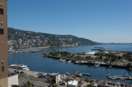 高台から熱海を望む