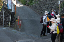 薩埵峠をめざす